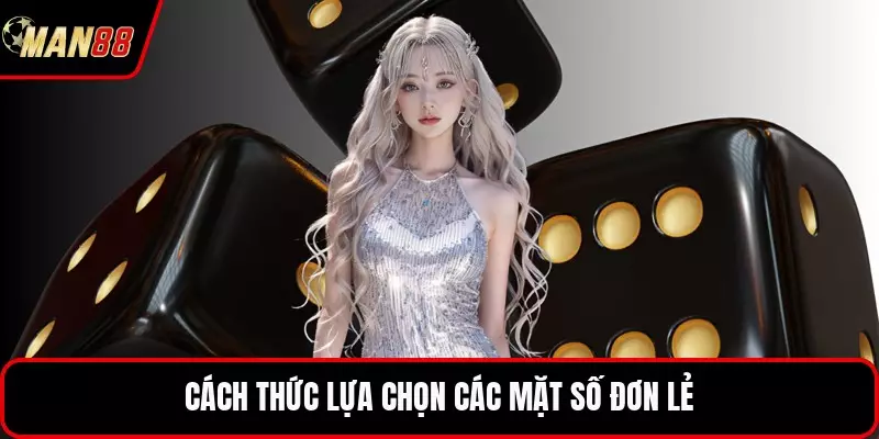 Cách thức lựa chọn các mặt số đơn lẻ