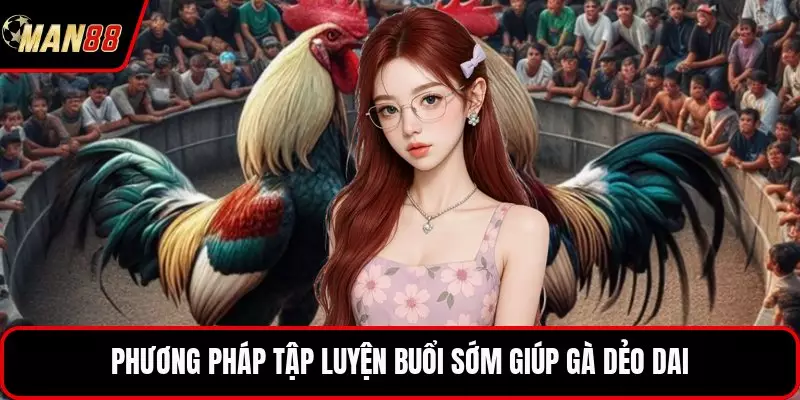 Phương pháp tập luyện buổi sớm giúp gà dẻo dai