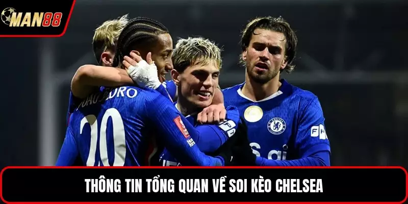 Thông tin tổng quan về soi kèo Chelsea